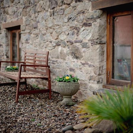 Stunning Converted Granary In Heart Of St Davids المظهر الخارجي الصورة