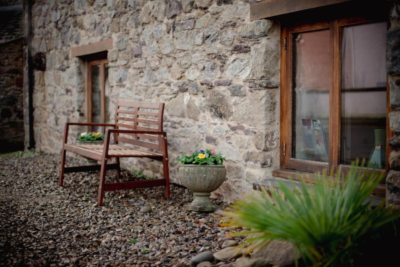 Stunning Converted Granary In Heart Of St Davids المظهر الخارجي الصورة